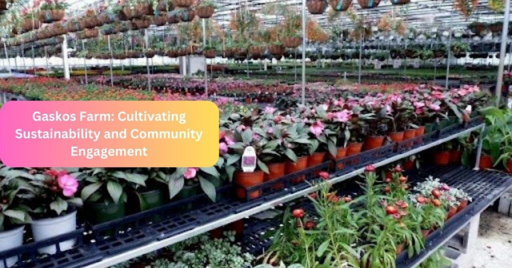 Gaskos Farm Cultivating Sustainability and Community Engagement