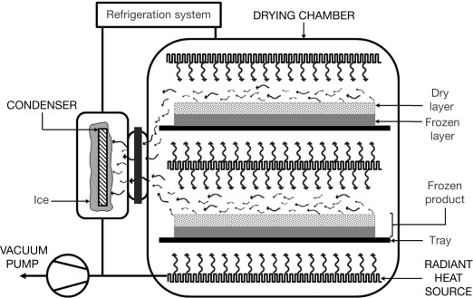 Components of Freeze Dry Machines: